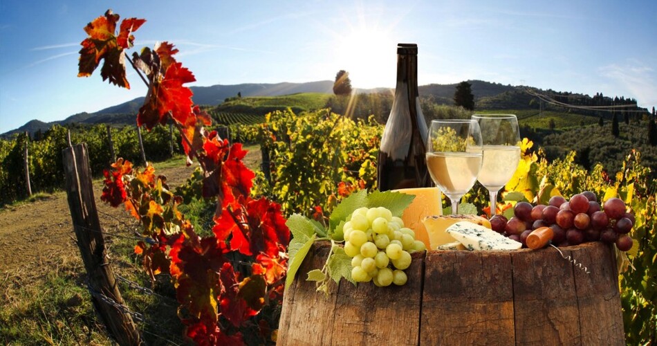 TUSCANY WINE TOURS