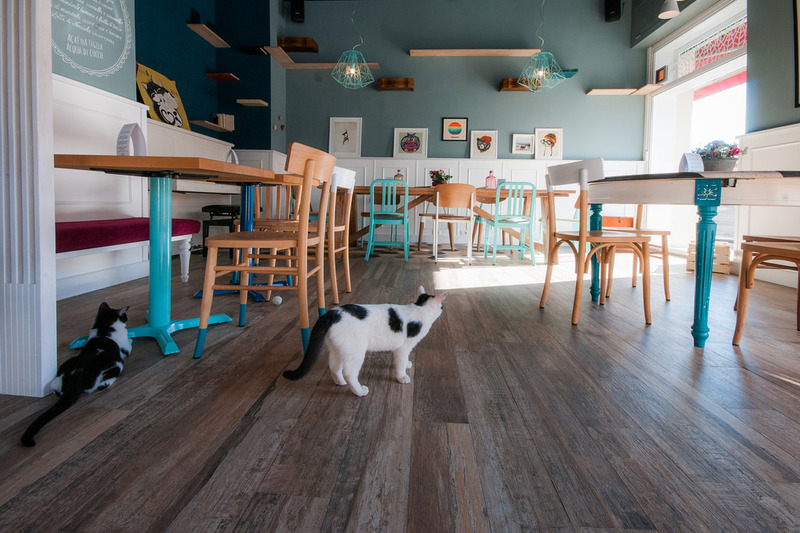 ROMEOW CAT BISTROT